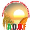 Logo of the association Diaspora Opareko France